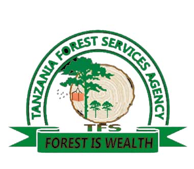 TFSA